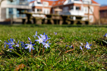 Fototapete bei efototapeten.de bestellen   