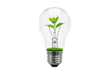 Eco friendly lightbulb with plant inside concept idea bulb isolated on background
