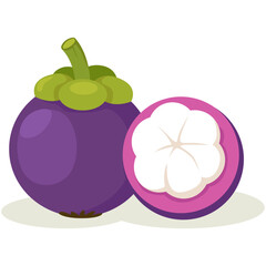 Illustration of Mangosteen or manggis fruit