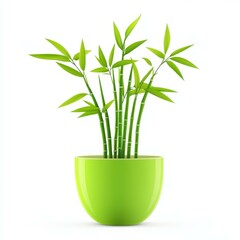 Obraz premium Lush green bamboo grows gracefully in a minimalist pot, adding a touch of nature to any space.