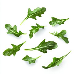 Fresh Green Arugula Leaves on White Background