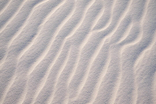 sand ripples in the sand