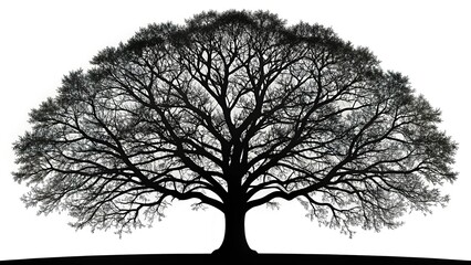 Obraz premium Black Tree Clipart for Design