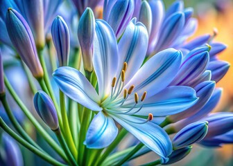 Lily of the Nile Flower Close-up Botanical Art