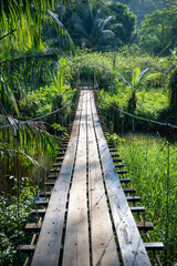 Jungle footbridge