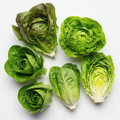 Fototapeta premium Lettuce on white background, top view. Healthy food.
