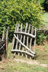 Old rustic wooden fence and gate with Humulus lupulus plant. Traditional handmade wattle fence in the village