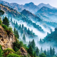 Stunning Mountain Landscape with Misty Forest Valley Scenic View Featuring Evergreen Trees Majestic Peaks Serene Nature Atmosphere Ideal for Adventure Hiking Travel