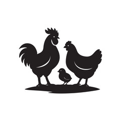 rooster isolated on white