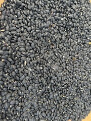 A large number of dried black beans are densely spread out, representing abundance and a harvest ready for processing or cooking