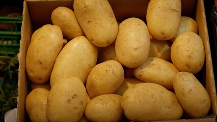 Fresh Potatoes Filling Cardboard Box at Farmers Market