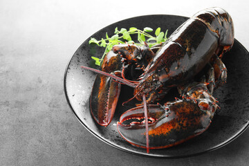 Raw lobster and microgreens on grey textured table, closeup