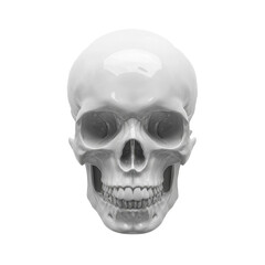 Obraz premium Ultra realistic uhd photo of Plastic skull model on transparent background