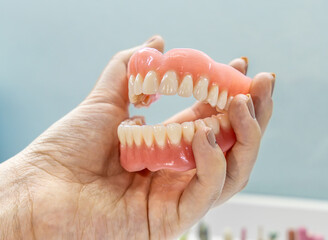 Close-up of a dental prosthetic model with artificial teeth and gums. Ideal for dental care imagery