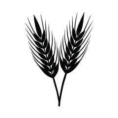 Isolated Barley Grain Vector Drawing
