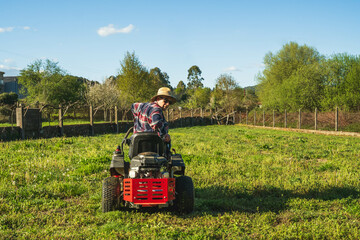 Obraz premium Man mowing spring lawn on red tractor in garden with apple and pear trees. Wearing work boots and flannel in rural setting.