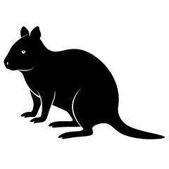Quokka silhouette vector isolated on white background