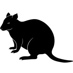 Quokka silhouette vector isolated on white background