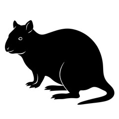 Quokka silhouette vector isolated on white background