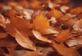 floral autumn background orange mockup template leaf illutration 3d abstract fall rendering leaves september wallpaper nature maple modern silhouette illustration rustic colours warm decor element