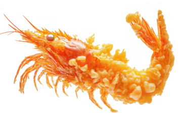 Close up of a single fried shrimp with a golden crispy texture