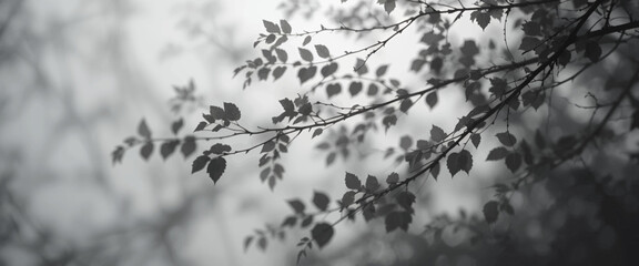 Monochrome_Leaves_Branches_Nature_Black_and_White