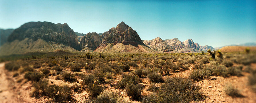 Panoramic view of the Red Rock Canyon National Conservation Area, near Las Vegas, Clark County, Nevada, USA.