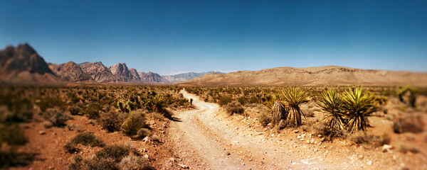 Panoramic view of dirt road passing through the Red Rock Canyon National Conservation Area, near Las Vegas, Clark County, Nevada, USA.