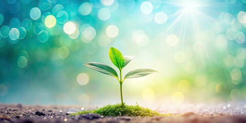 Bokeh Leaf Sprout Panoramic Flat Lay Photography - Soft Feminine Background Image