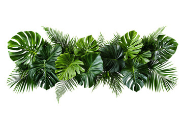 tropical leaves arrangement with monstera and ferns.