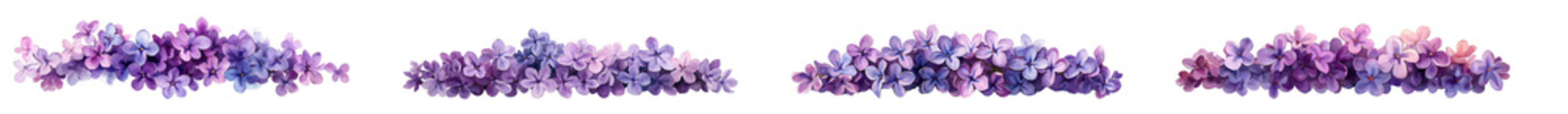 hydrangea flowers border, isolated on white background.