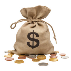money bag with dollar sign and coins, Isolated on background