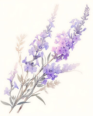 Obraz premium Floral flower vector Illustrations on white background