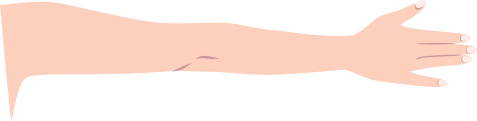 伸ばした腕（手の甲）のパーツイラスト