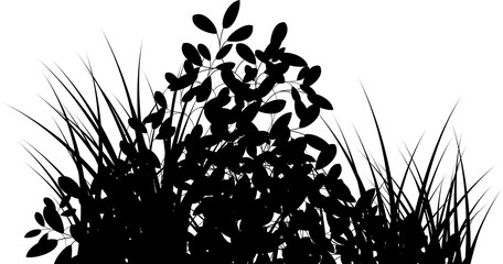 meadow grass and bushes silhouette