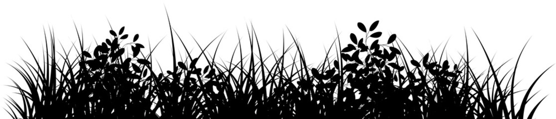 grass and bushes silhouette background