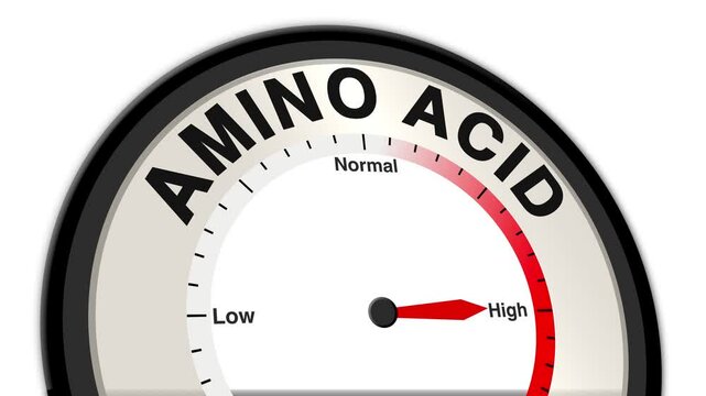 Amino Acid text or word displayed with a barometer or tachometer-style gauge showing levels from low to normal to high, representing the balance or concentration of amino acids in the body for healt