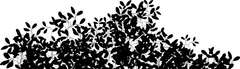 bushes silhouette black
