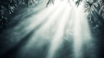 Ethereal Light Rays in a Misty Forest