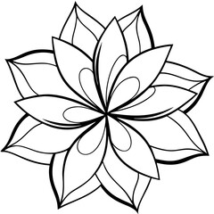 Elegant Line Art Flower Petals - Minimal Vector Art Illustration