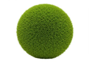A close up of a green moss ball isolated on a white background in a studio setting showing texture