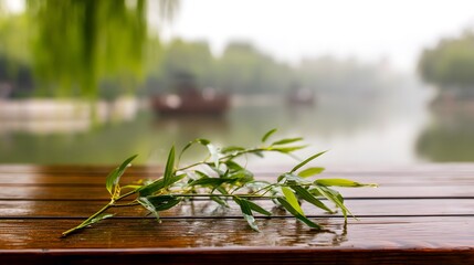 Fresh willow branch on wood, symbolizing renewal and tranquility during Qingming Festival