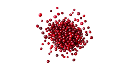 Fresh cranberries scattered in a pile, ideal for holiday recipes or natural remedies, isolated on a white transparent background. PNG cutout mockup template for design projects
