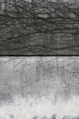 Siatka z cieniem gałęzi – industrialne tło czarno-białe   © Kacper