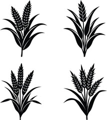 Obraz premium Millet silhouette vector