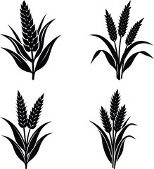 Millet silhouette vector