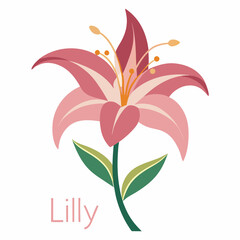 Elegant Pink Lily Flower Vector Illustration With Green Leaves On White Background