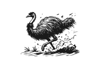 Emu bird hand drawn sketch illustration vector