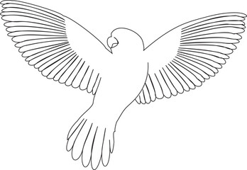 Obraz premium bird one line drawing in the fly. Vector illustration.