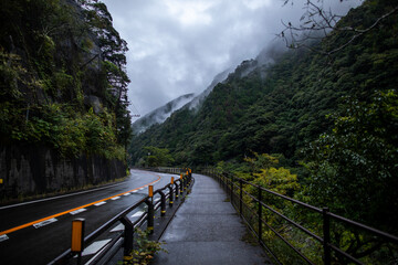 Summer at Oboke Gorge in Tokushima Prefecture, Shikoku Island, Japan